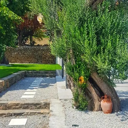 فيلة Calma Estate *